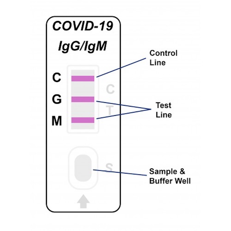 Covid 19 IgG/IgM Antibody Rapid Test